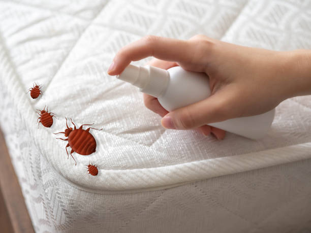 Professional Pest Control in Moultrie, GA